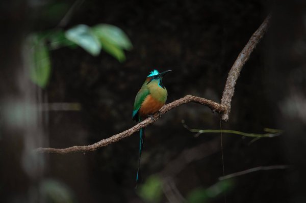la responsabilité individuelle dans la préservation de la santé mentale et le bien-être dans la société moderne