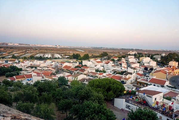 Postuler à un emploi : les pièges des offres en ligne à éviter