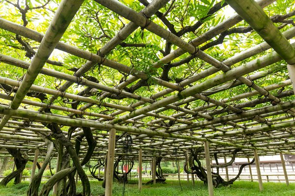 Comment construire un abri de jardin en bois?